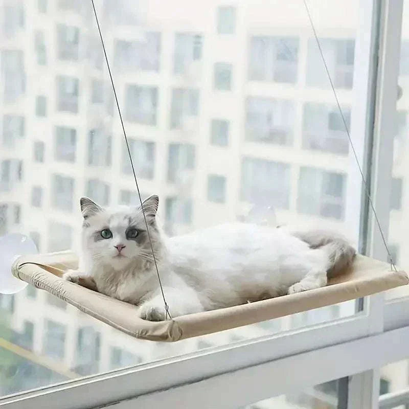 White cat resting on ultra-soft space-saving window hammock bed with secure suction cups