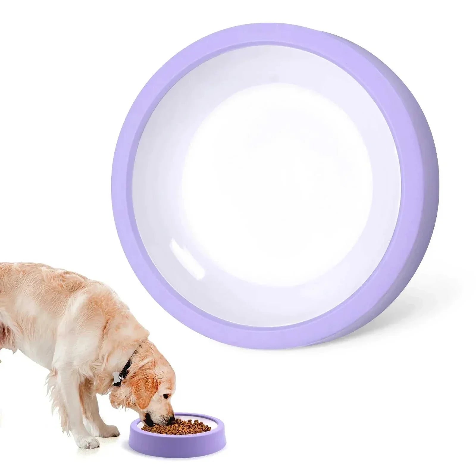 Anti-gulping pet dog slow feeder bowl with maze design and non-slip base for healthier, safer eating