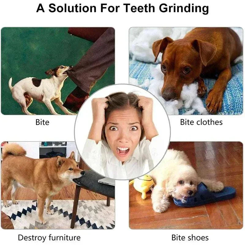 Durable rubber dog toy ball for chewing, teeth cleaning, and treat feeding, suitable for all pet sizes